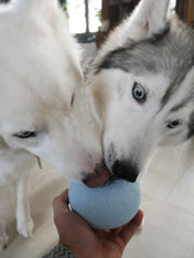 inooko-jouet-occupation-pour-chien-Yoomy-donut-beige