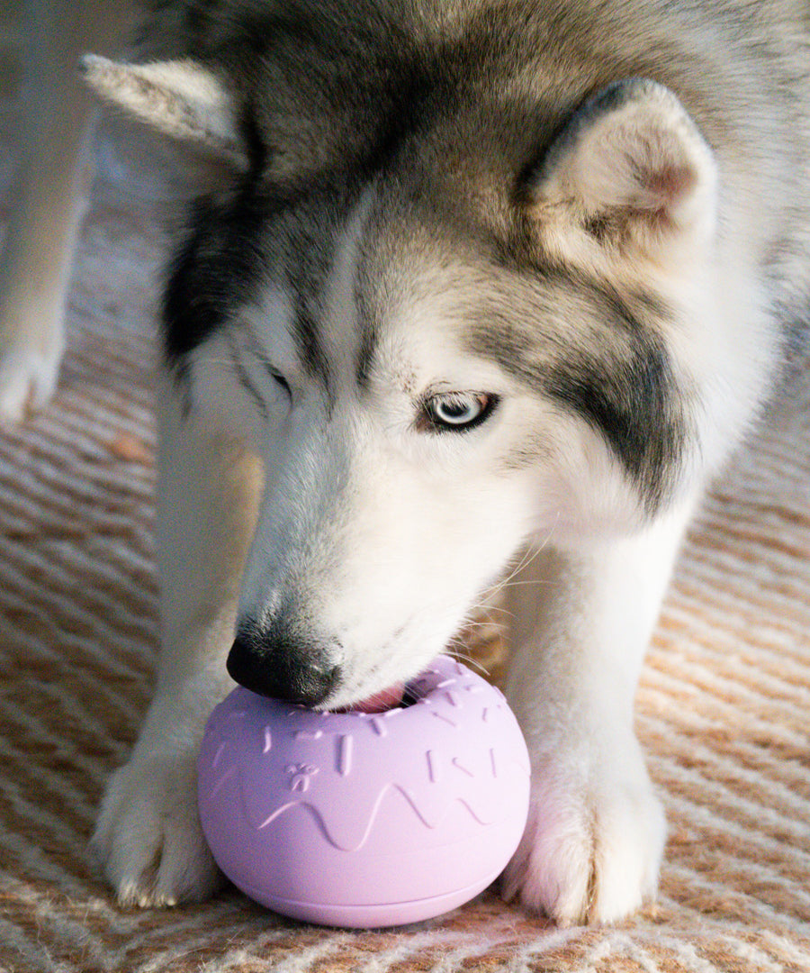 inooko-jouet-occupation-pour-chien-Yoomy-donut-violet