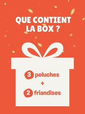 La Box Mystère ❔🎁🎉❔