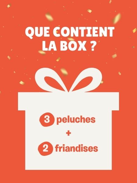 La Box Mystère ❔🎁🎉❔