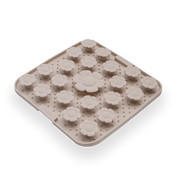 Promotion Black Friday - Daisy Activity 🌼