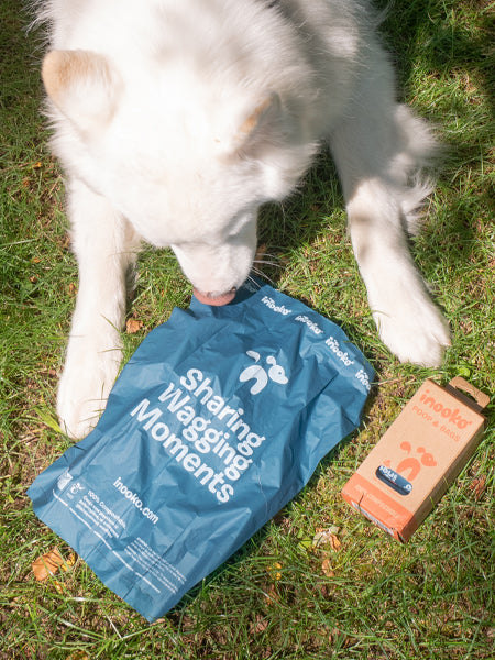     inooko-sac-a-crotte-dejection-pour-chien-compostable-home-compost-tuv