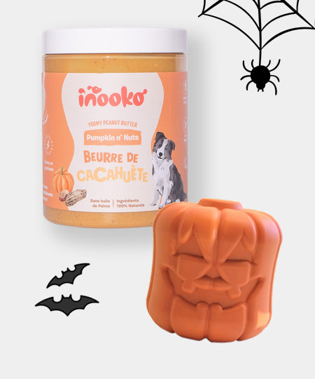       inooko-yoomy-butter-beurre-de-cacahuete-pour-chien-jouet-sodapup-citrouille