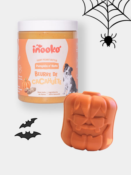       inooko-yoomy-butter-beurre-de-cacahuete-pour-chien-jouet-sodapup-citrouille