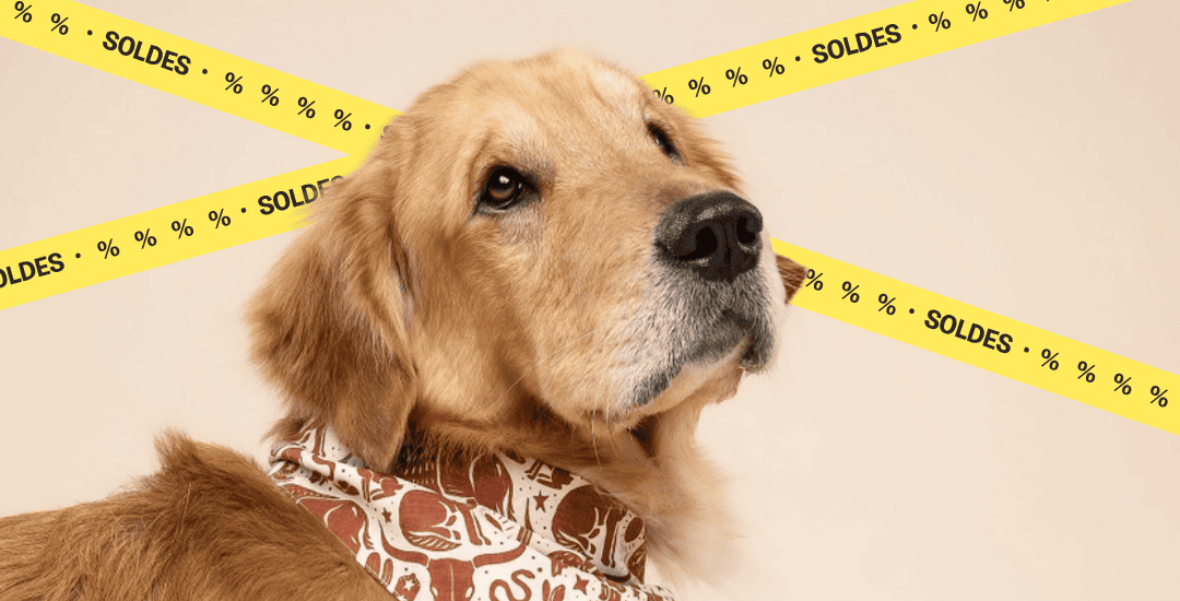 Soldes pour chiens et chats inooko