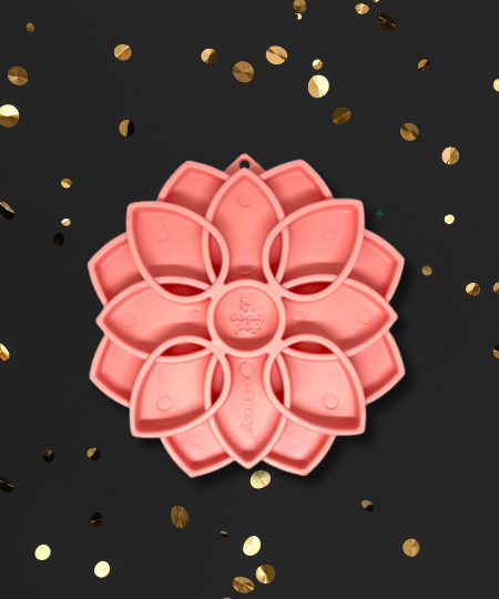 inooko - Offre Black Friday pour chien et chat