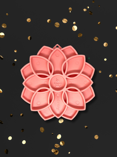 inooko - Offre Black Friday pour chien et chat