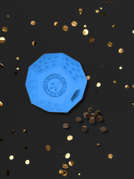 inooko - Offre Black Friday pour chien et chat