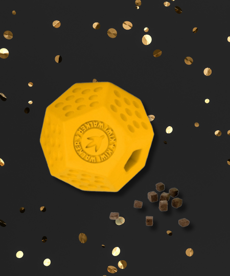 inooko - Offre Black Friday pour chien et chat