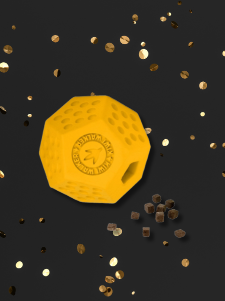 inooko - Offre Black Friday pour chien et chat