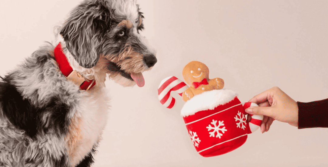 inooko_-_collection_noel_2025_Banniere_2_1.png