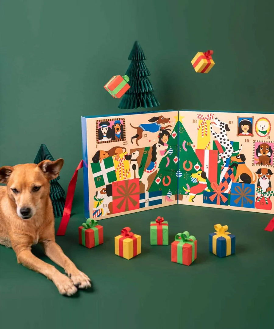 lila-loves-it-calendrier-avent-pour-chien-premium-2025
