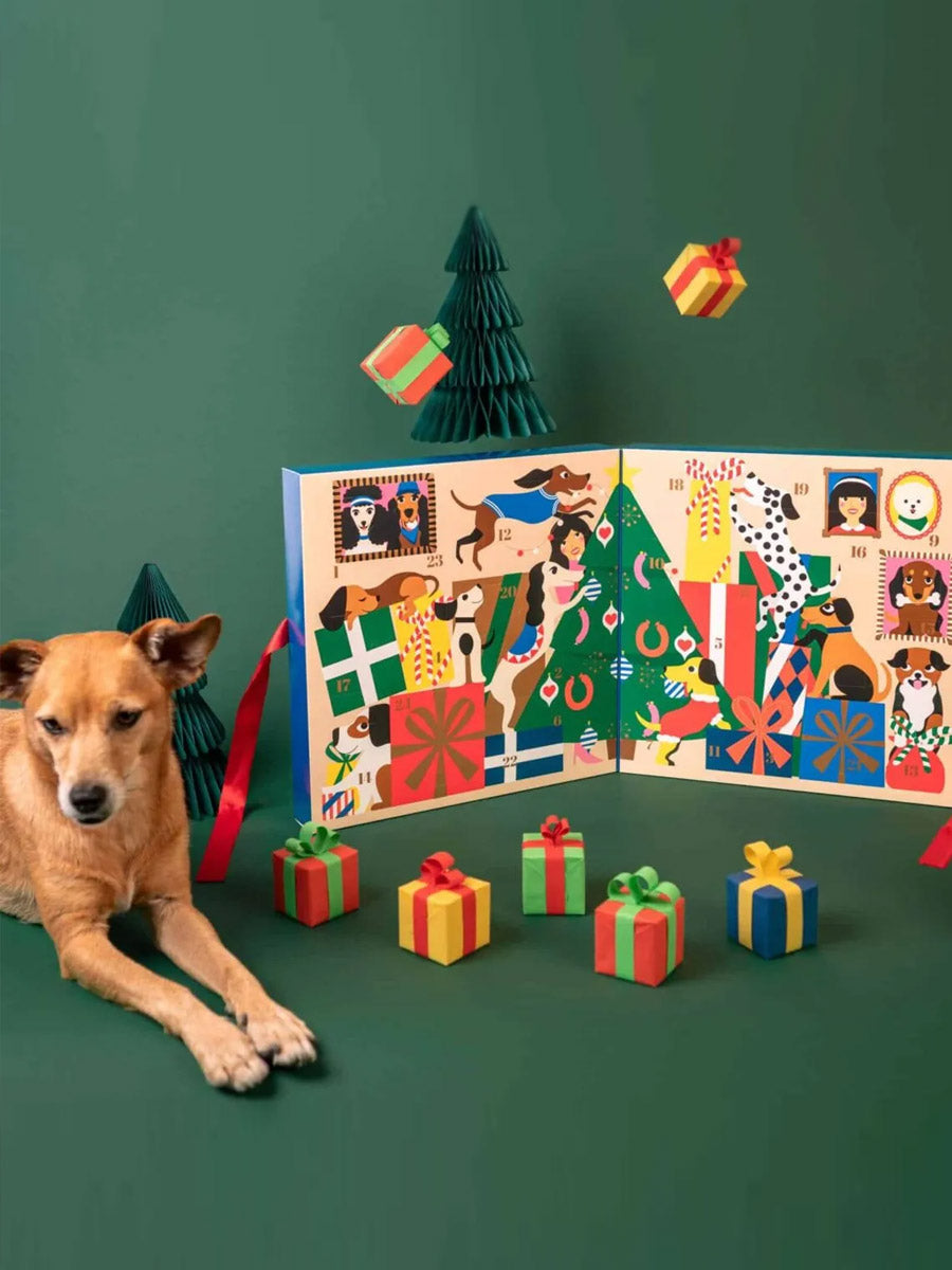 lila-loves-it-calendrier-avent-pour-chien-premium-2025