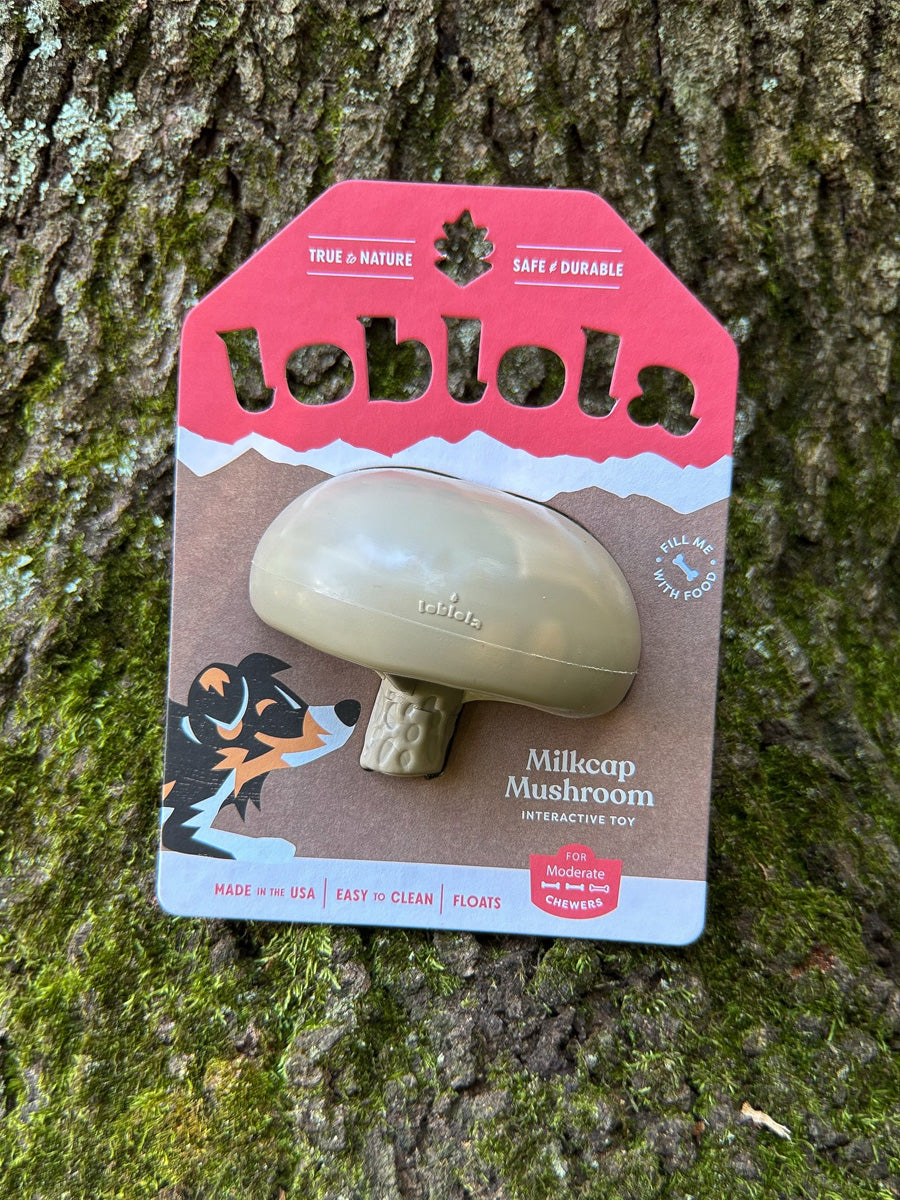 loblola-jouet-occupation-fouille-pour-chien-2025-champignon