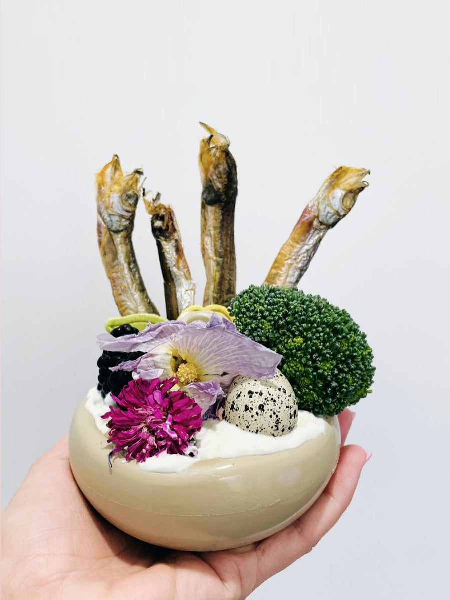 loblola-jouet-occupation-fouille-pour-chien-2025-champignon