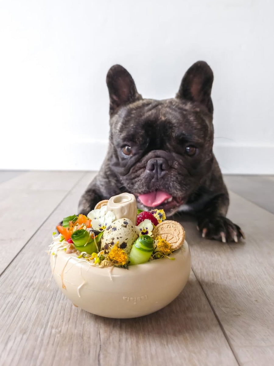 loblola-jouet-occupation-fouille-pour-chien-2025-champignon