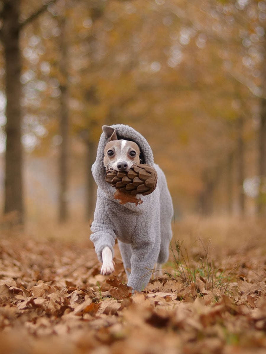loblola-jouet-occupation-fouille-pour-chien-pomme-de-pain