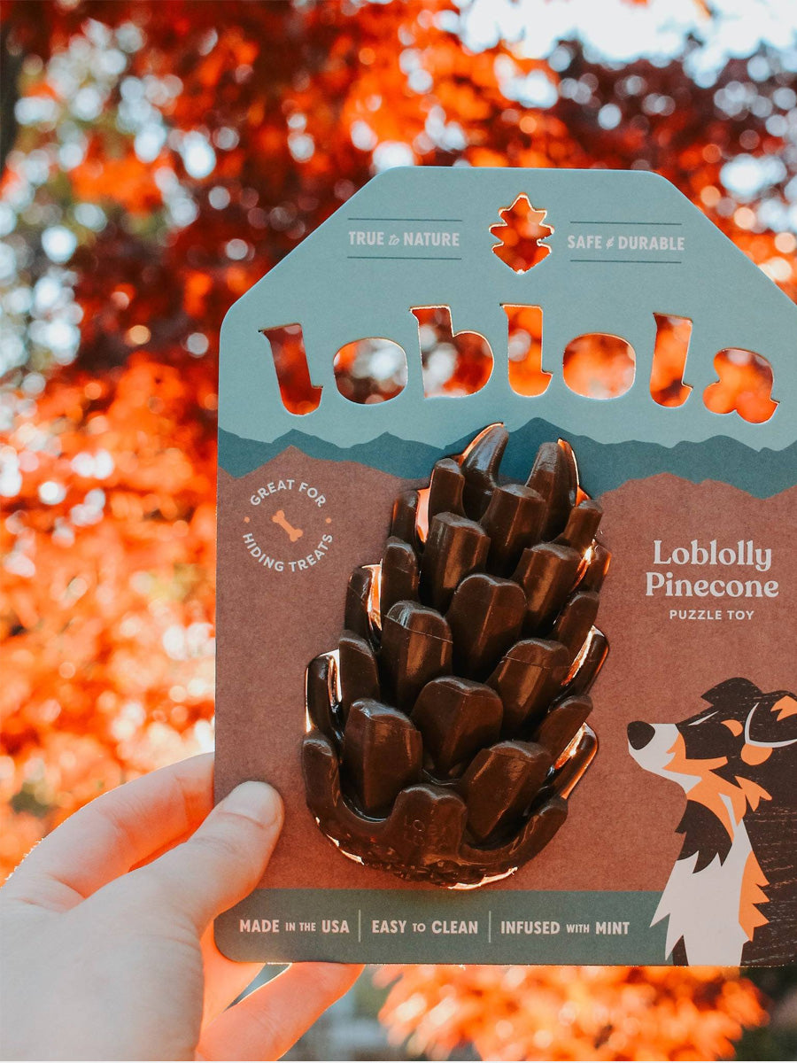 loblola-jouet-occupation-fouille-pour-chien-pomme-de-pain