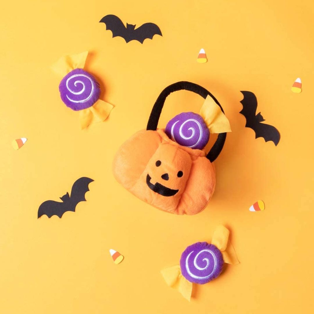 sélection halloween pour chien et chat - inooko