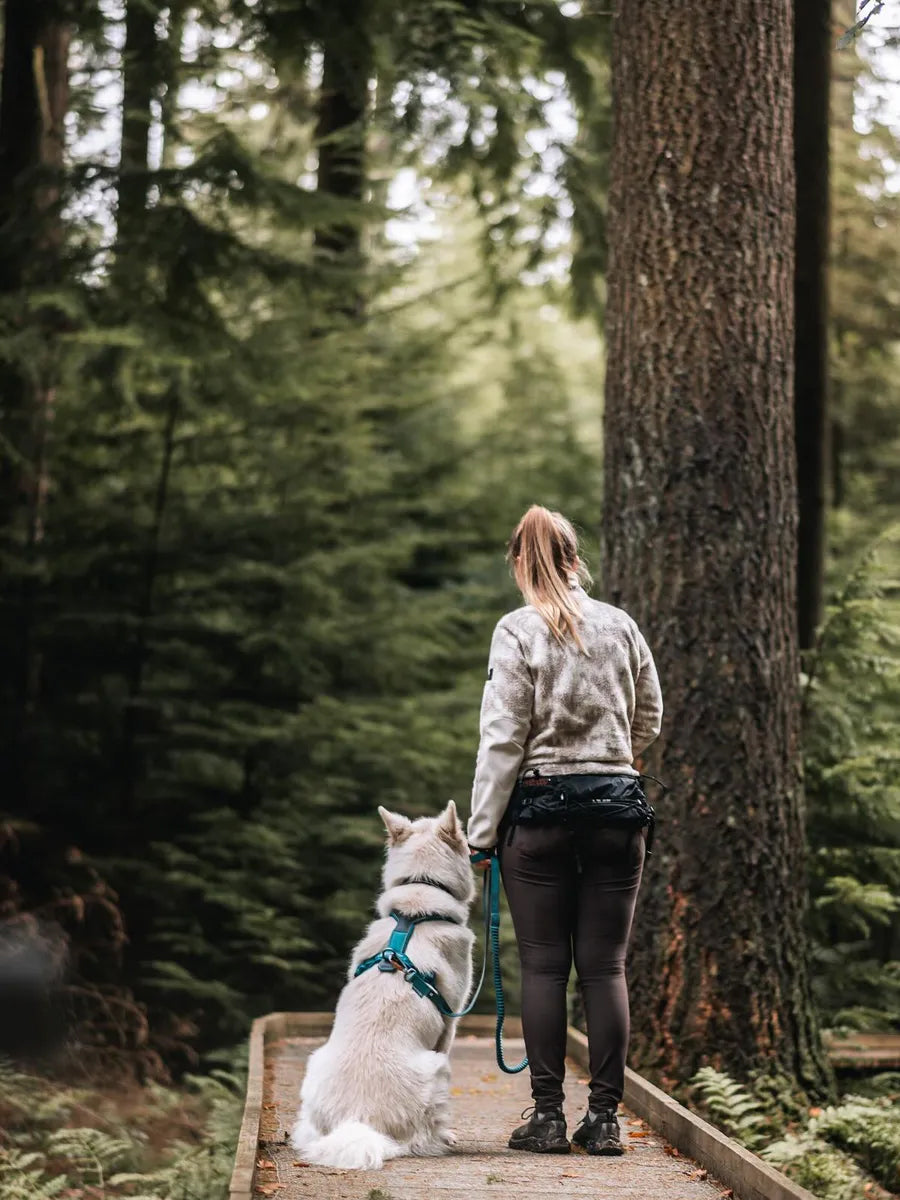 non-stop-dogwear-Ceinture-legere-Trail-light-belt