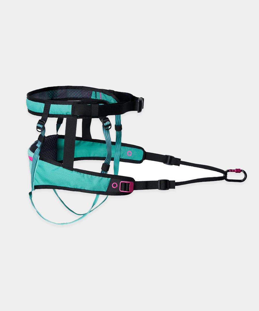 non-stop-dogwear-ceinture-canicross-canix-belt-2-0-aqua