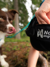 non-stop-dogwear-ceinture-canicross-canix-belt-3-0