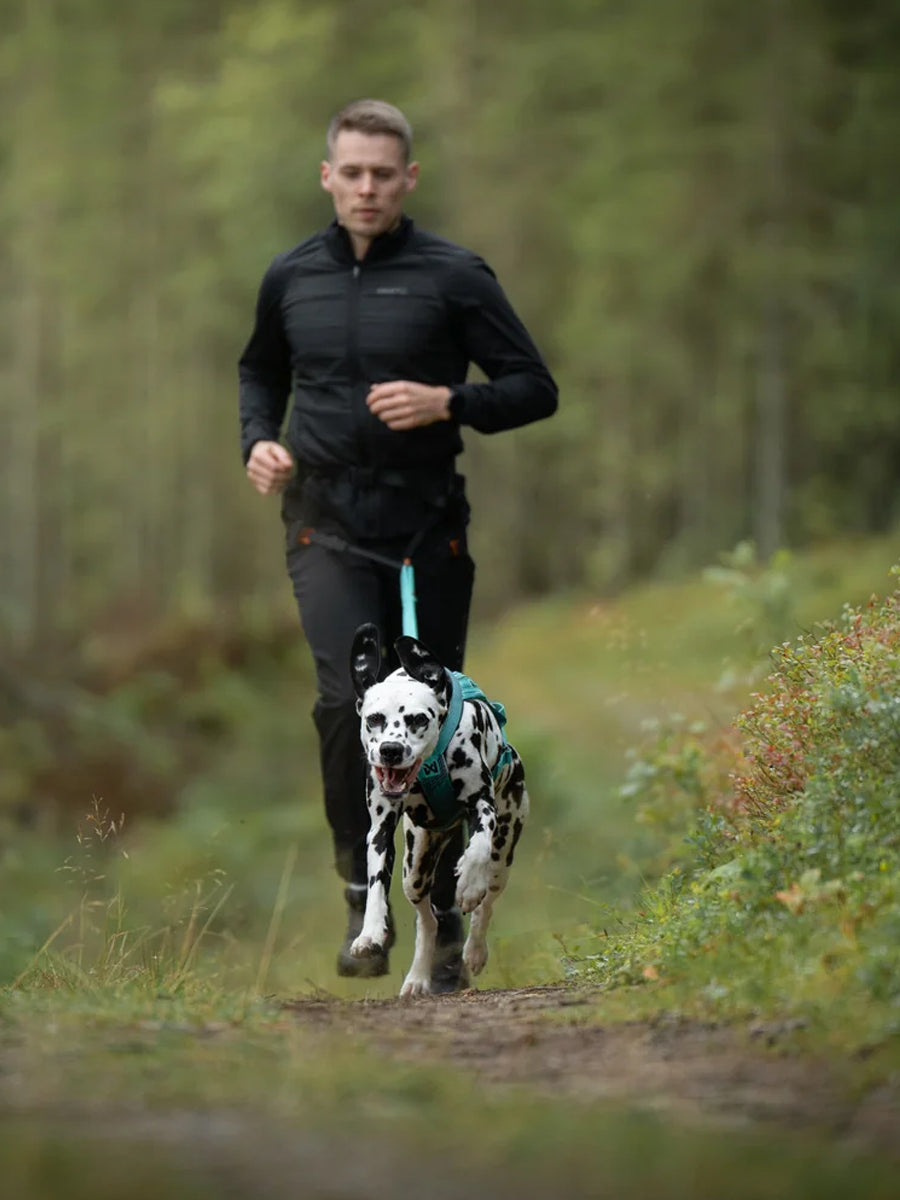 non-stop-dogwear-ceinture-canicross-canix-belt-3-0