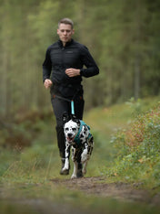 non-stop-dogwear-ceinture-canicross-canix-belt-3-0