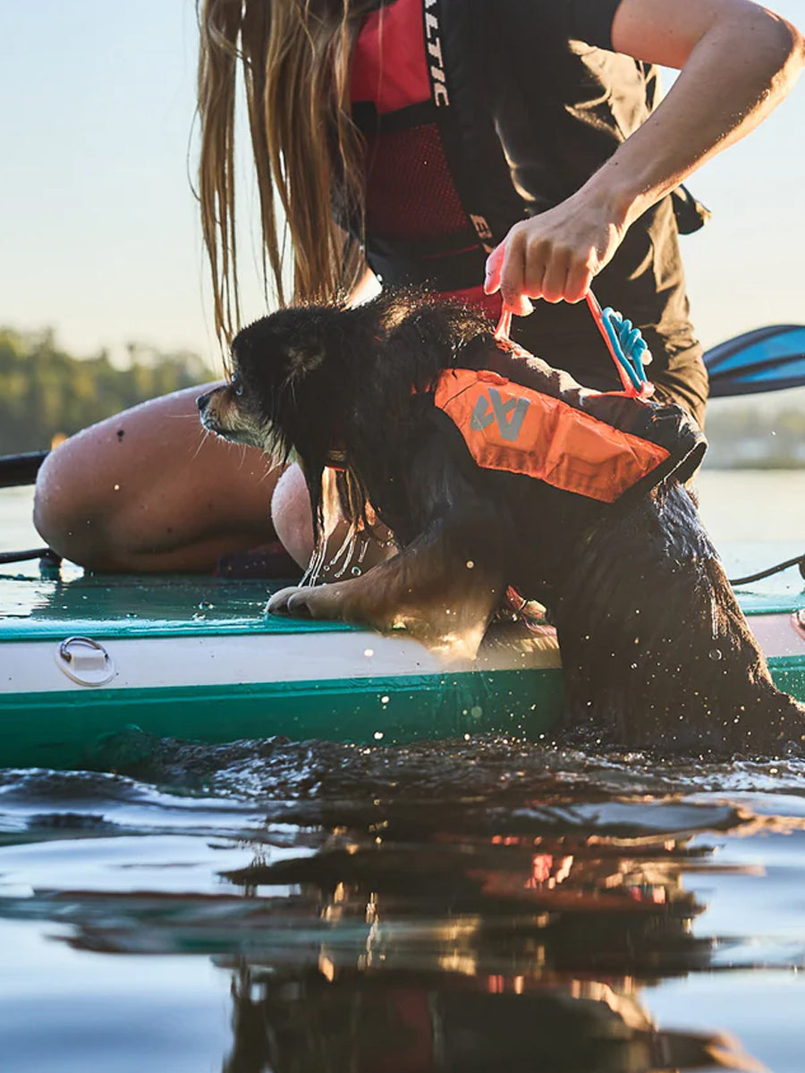 non-stop-dogwear-gilet-de-sauvetage-pour-chien-orange