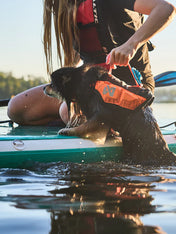 non-stop-dogwear-gilet-de-sauvetage-pour-chien-orange