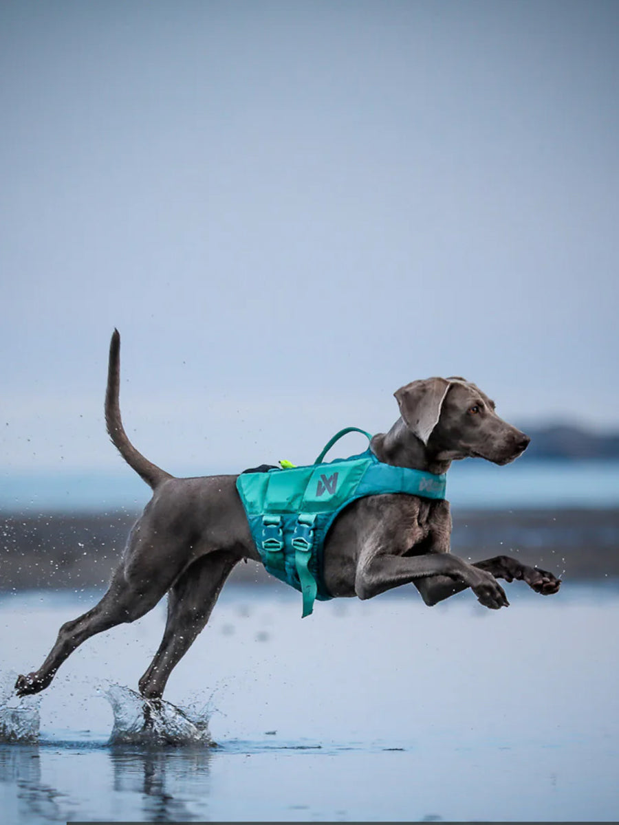 non-stop-dogwear-gilet-de-sauvetage-pour-chien-teal
