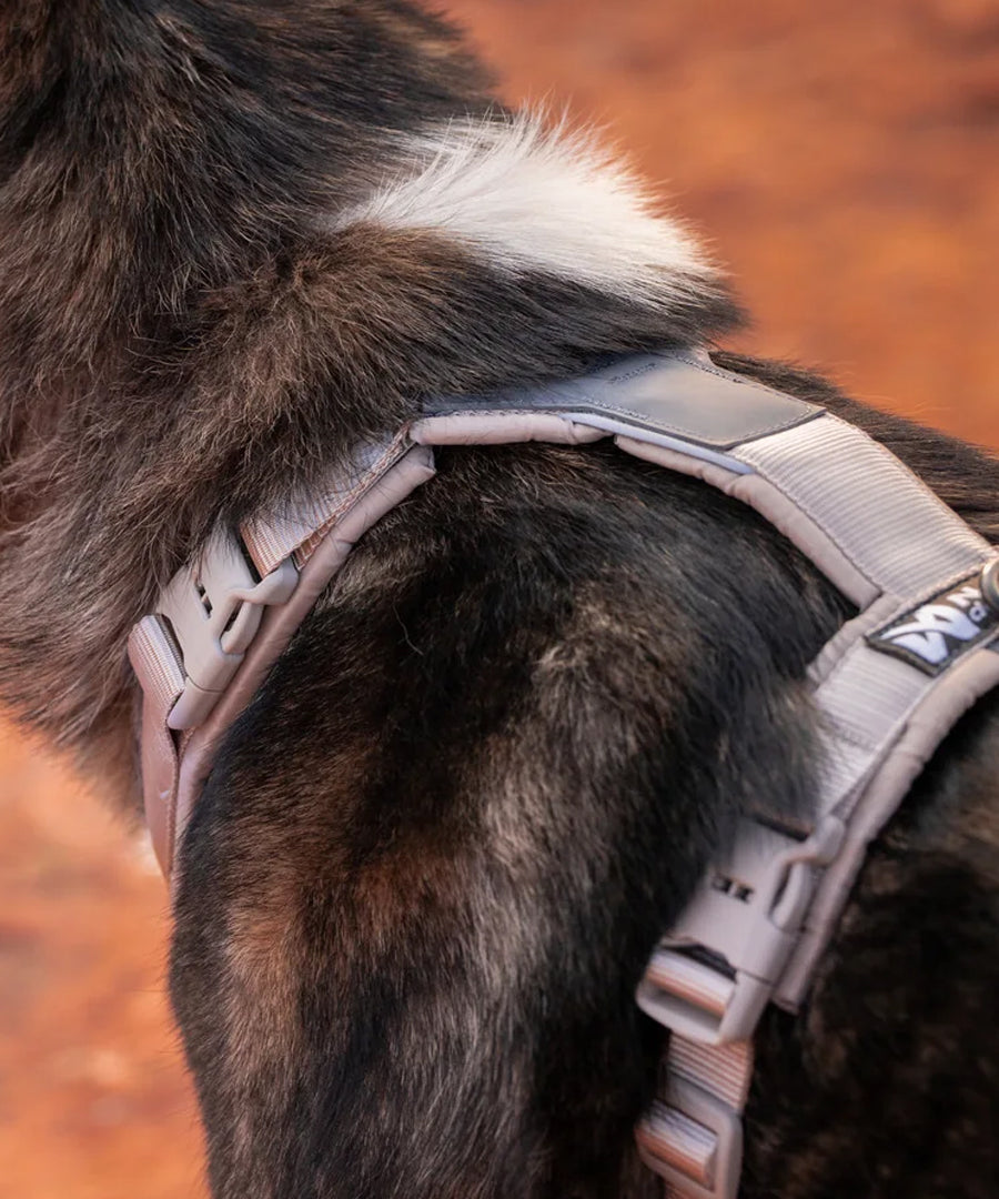 non-stop-dogwear-harnais-Trekking-Line-CLIP_N-Sable