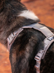 non-stop-dogwear-harnais-Trekking-Line-CLIP_N-Sable