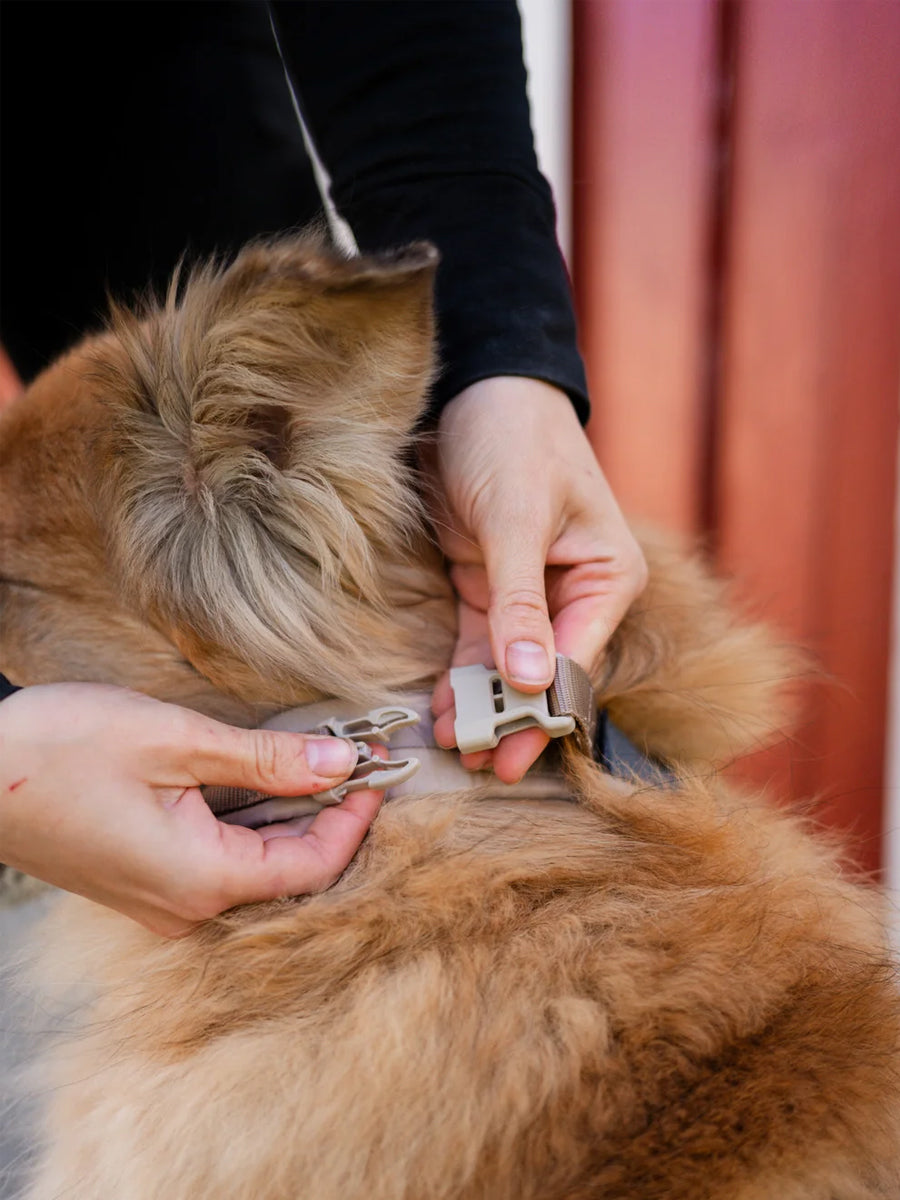 non-stop-dogwear-harnais-Trekking-Line-CLIP_N-Sable