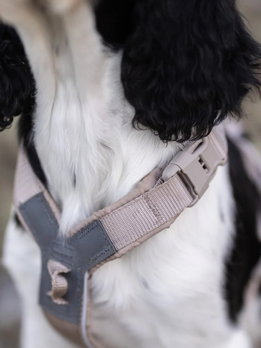 non-stop-dogwear-harnais-Trekking-Line-CLIP_N-Sable