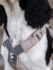 non-stop-dogwear-harnais-Trekking-Line-CLIP_N-Sable
