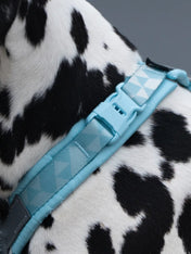 non-stop-dogwear-harnais-Trekking-Line-CLIP_N-ice-blue