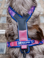 non-stop-dogwear-harnais-chien-Line-5.0-Rachel-Pohl-edition-purple-pink