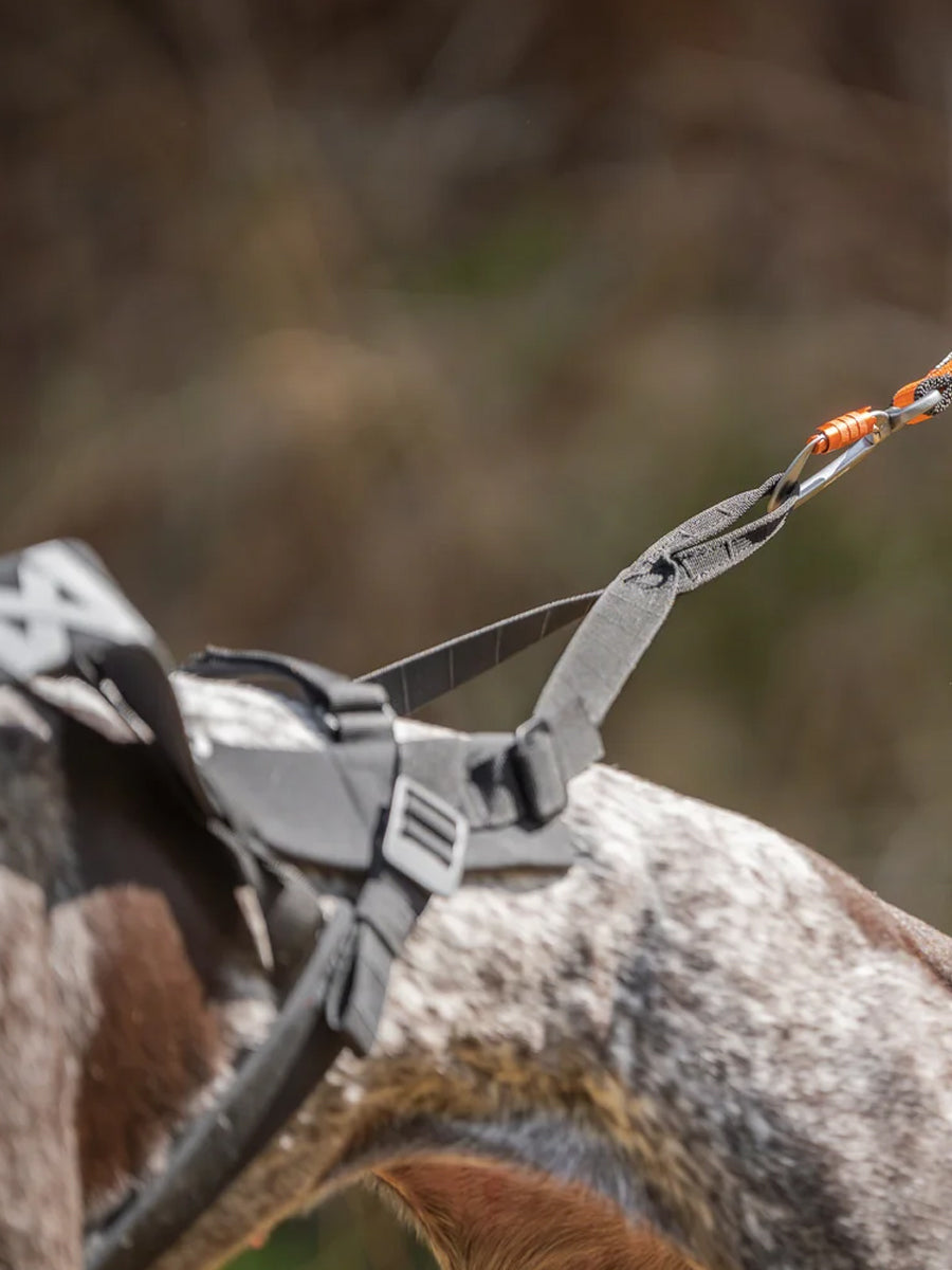 non-stop-dogwear-harnais-chien-freemotion-harness-pro