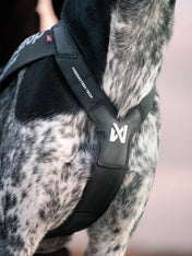 non-stop-dogwear-harnais-chien-freemotion-harness-pro