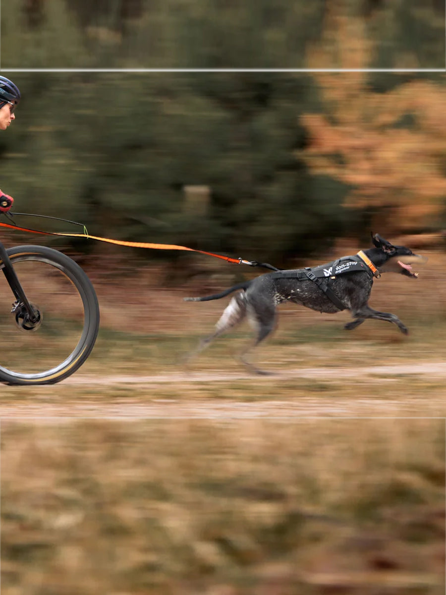 non-stop-dogwear-harnais-chien-freemotion-harness-pro