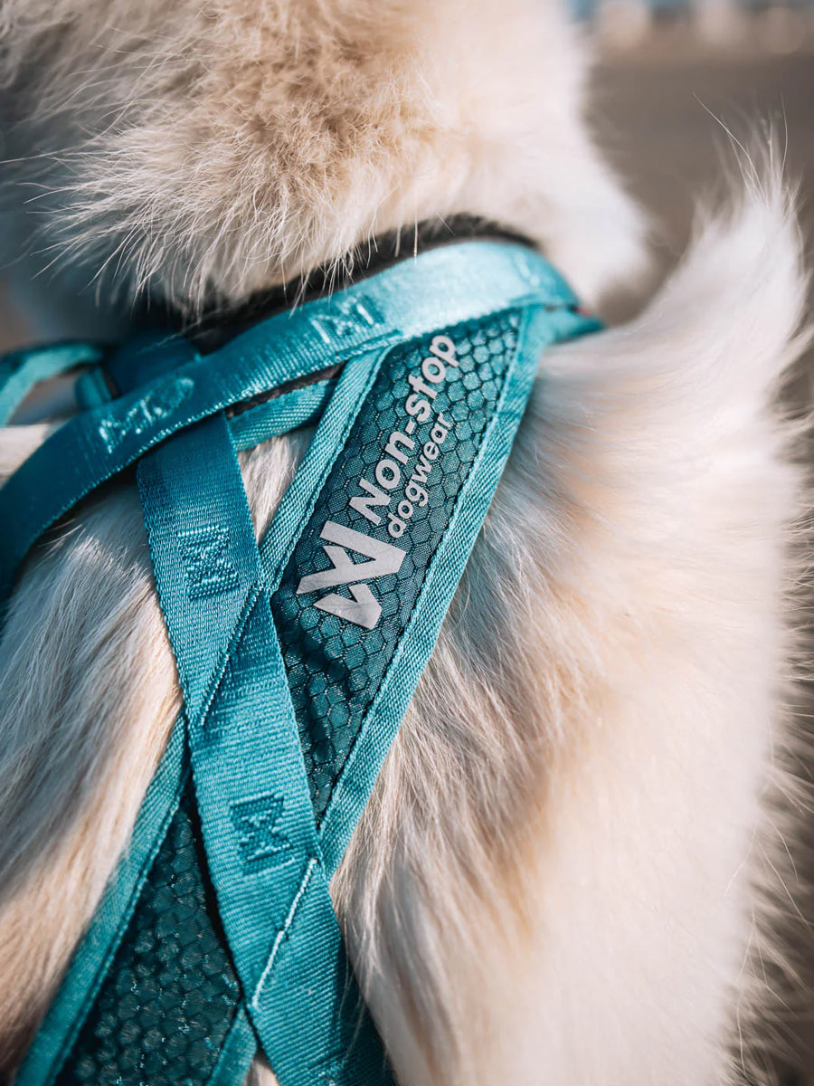 non-stop-dogwear-harnais-traction-rush-teal