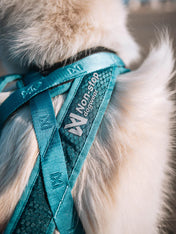 non-stop-dogwear-harnais-traction-rush-teal