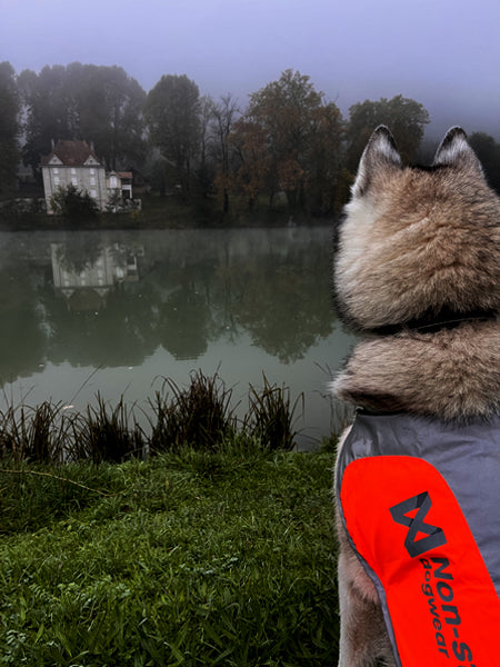 non-stop-dogwear-veste-reflechissante-3m