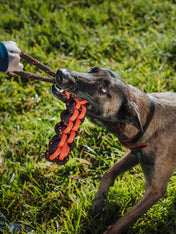     pet-play-jouet-en-corde-chien-Novarope-Twist