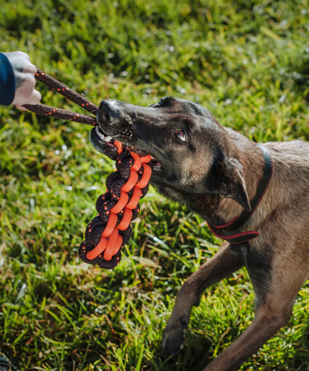     pet-play-jouet-en-corde-chien-Novarope-Twist