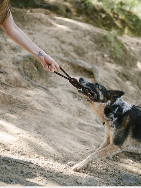 pet-play-jouet-en-corde-chien-Tug-rope