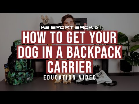 Sac à dos pour transporter son chien - Urban 3 Kaki - K9 Sport Sack