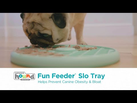 Plateau d'enrichissement et de léchage - Fun Feeder