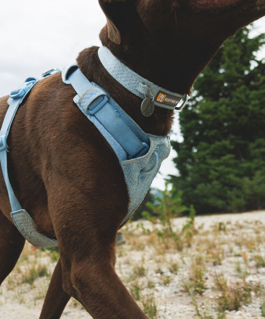 ruffwear-collier-front-range-flex-pour-chien-bleu